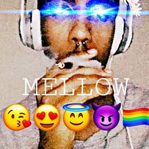 Meet your Posher, Melvin